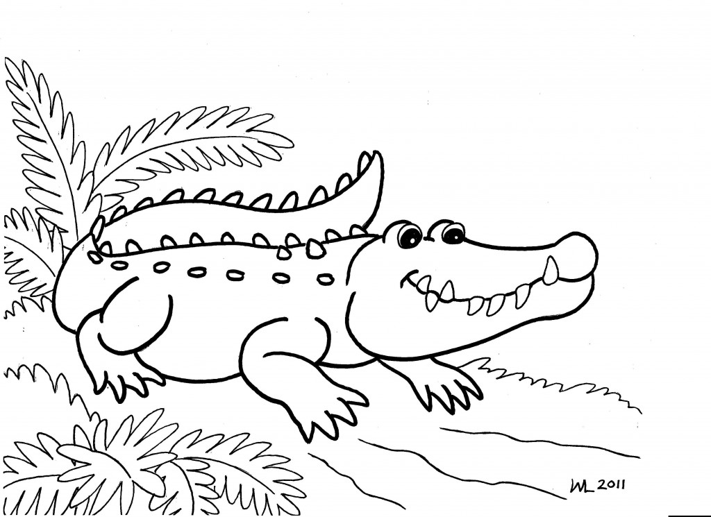 Alligator Coloring Pages for Kids Image