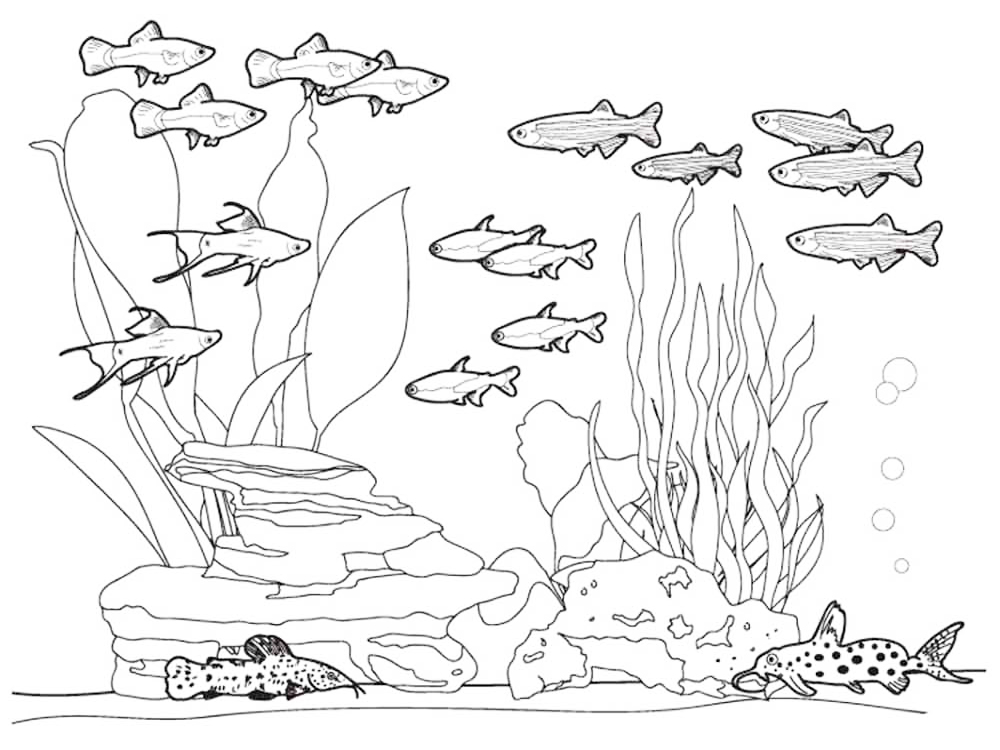 Animals Under The Ocean Coloring Page