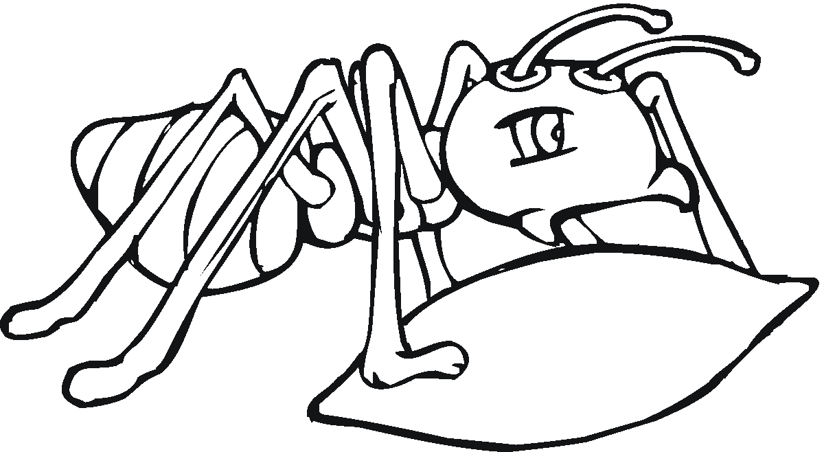 ant face coloring pages to print