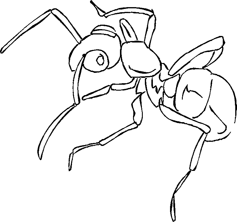Ant Coloring Page Photos