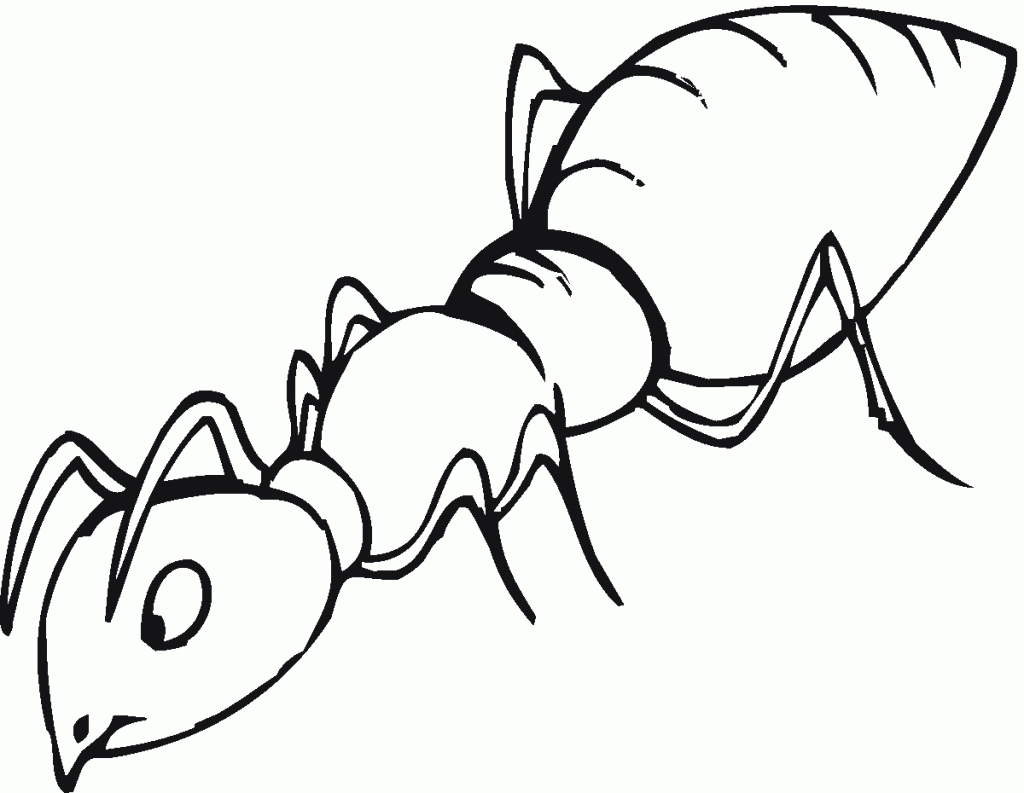 Ant Coloring Pages Free