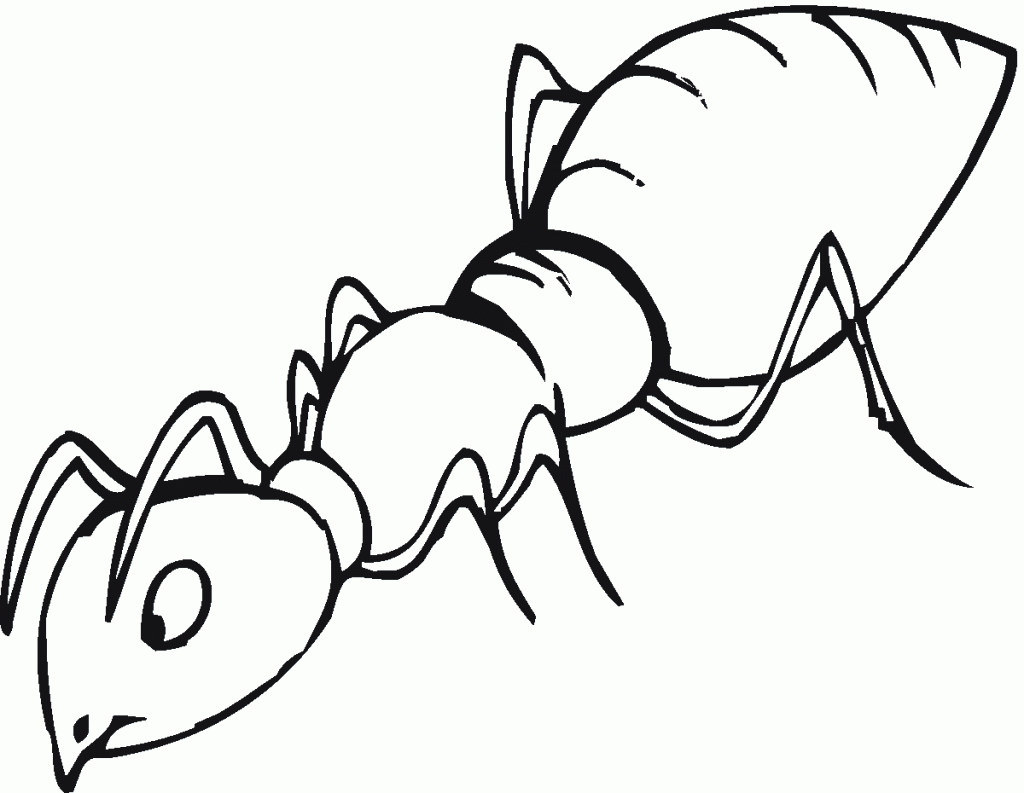 Free Printable Ant Coloring Pages For Kids