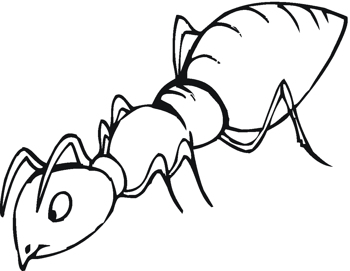 ant face coloring pages to print