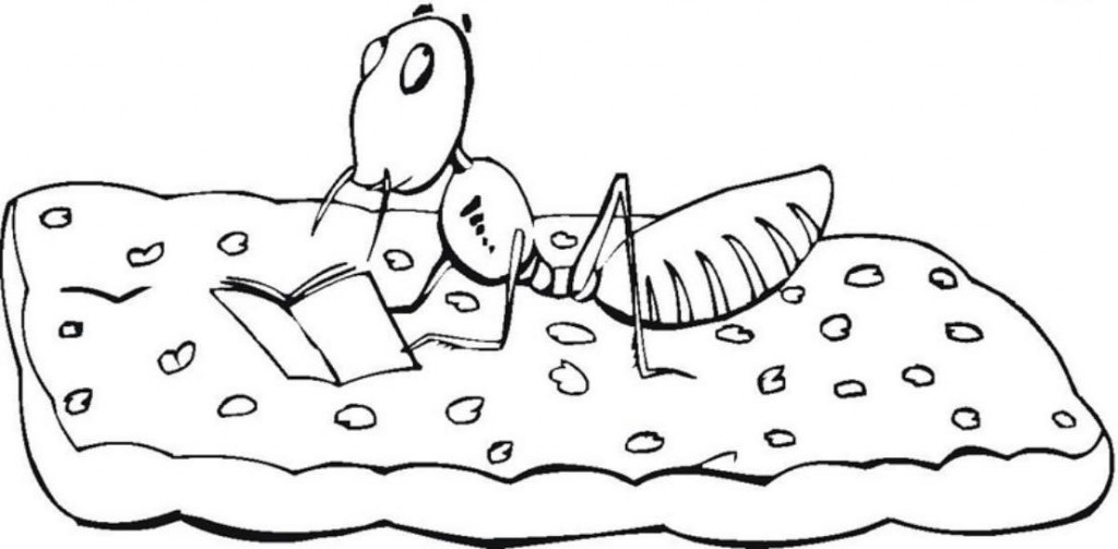 Ant Coloring Pages Photos