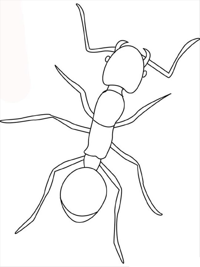 Ant Coloring Pages Pictures