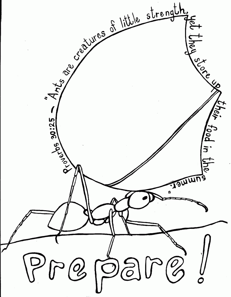 Ant Coloring Pages Printable