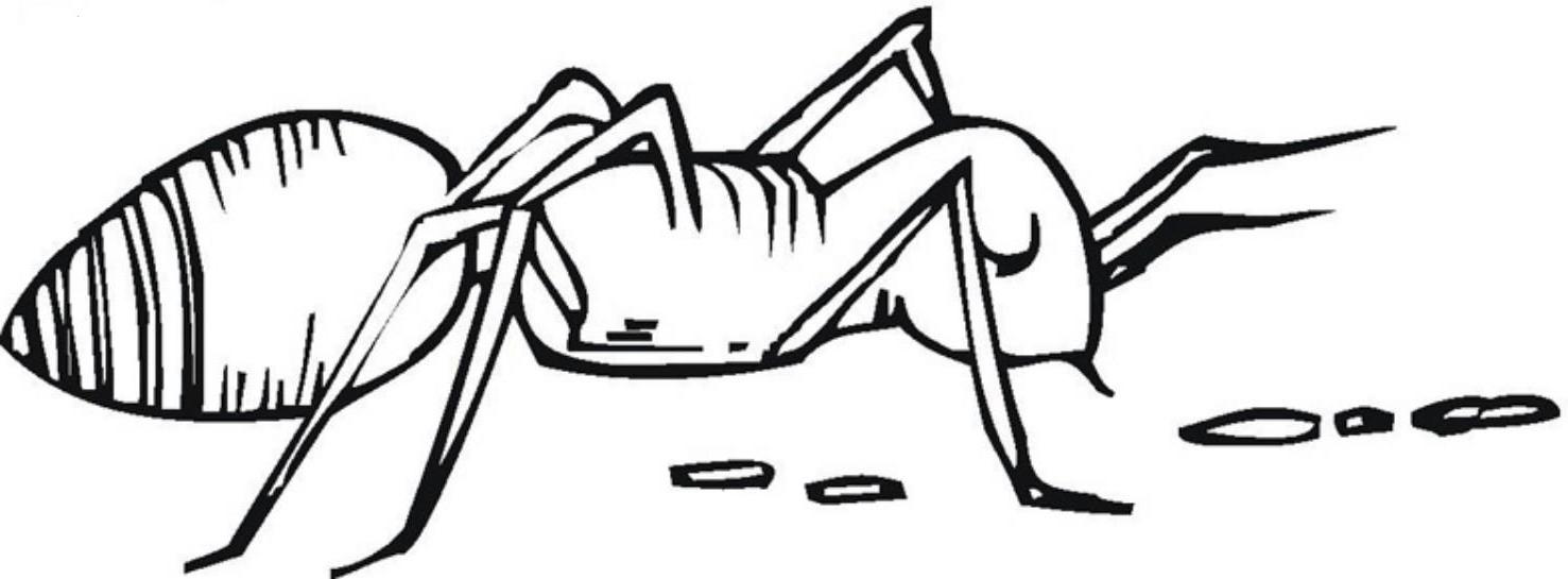 ant coloring page