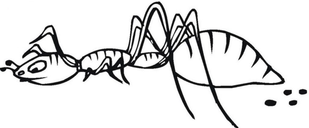 Ant Printable Coloring Pages