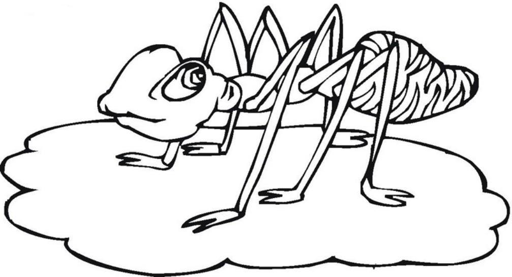 Ants Coloring Pages For Kids