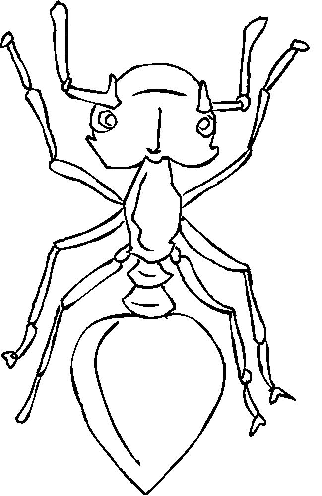 Ants Coloring Pages Pictures