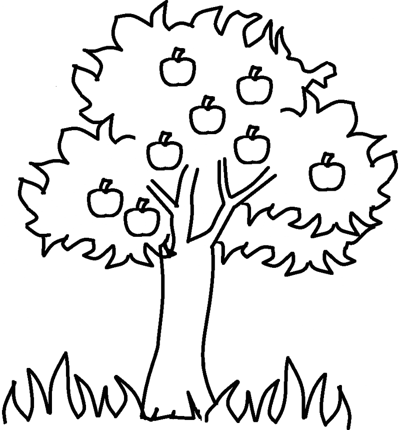 Apple Tree Coloring Page