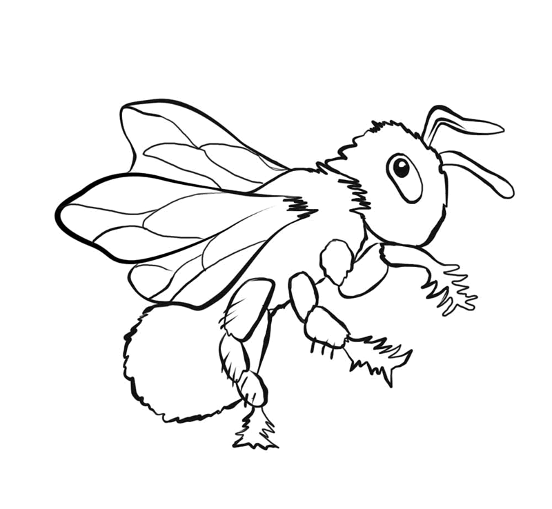 4400 Lightning Bugs Coloring Pages , Free HD Download