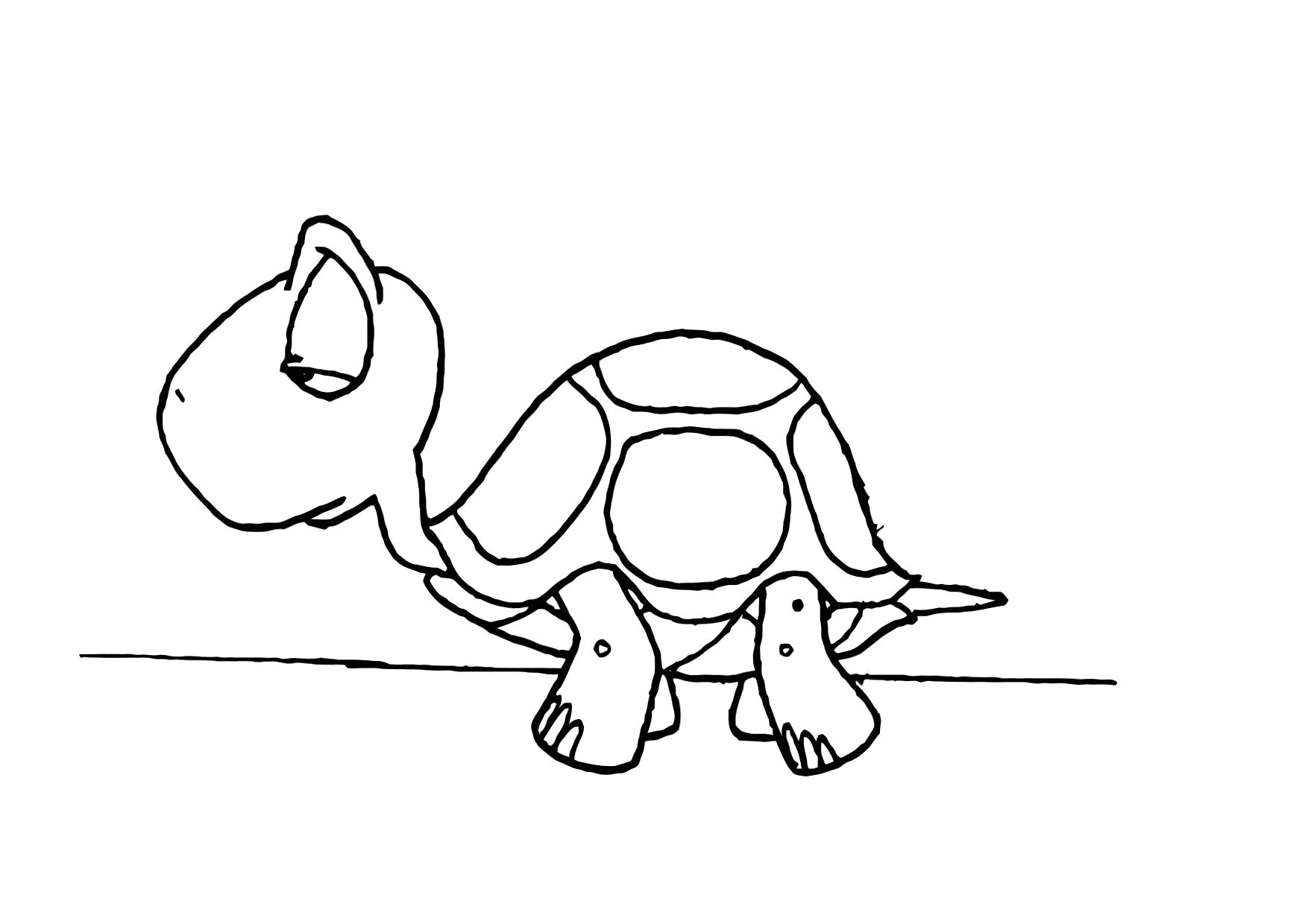 Detailed Sea Turtle Advanced Coloring Page