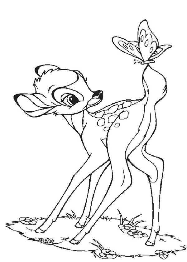 Bambi And Butterfly Coloring Page