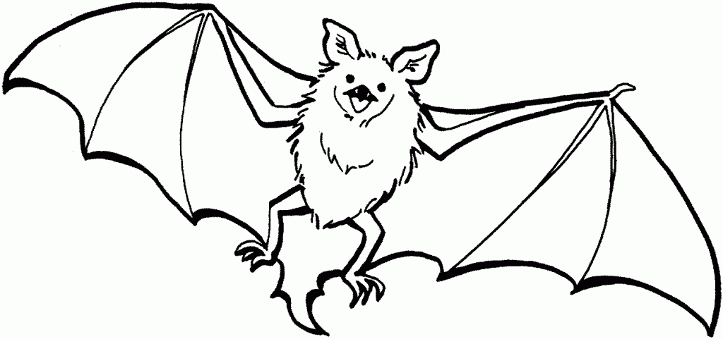 Bat Coloring Pages For Kids Printable