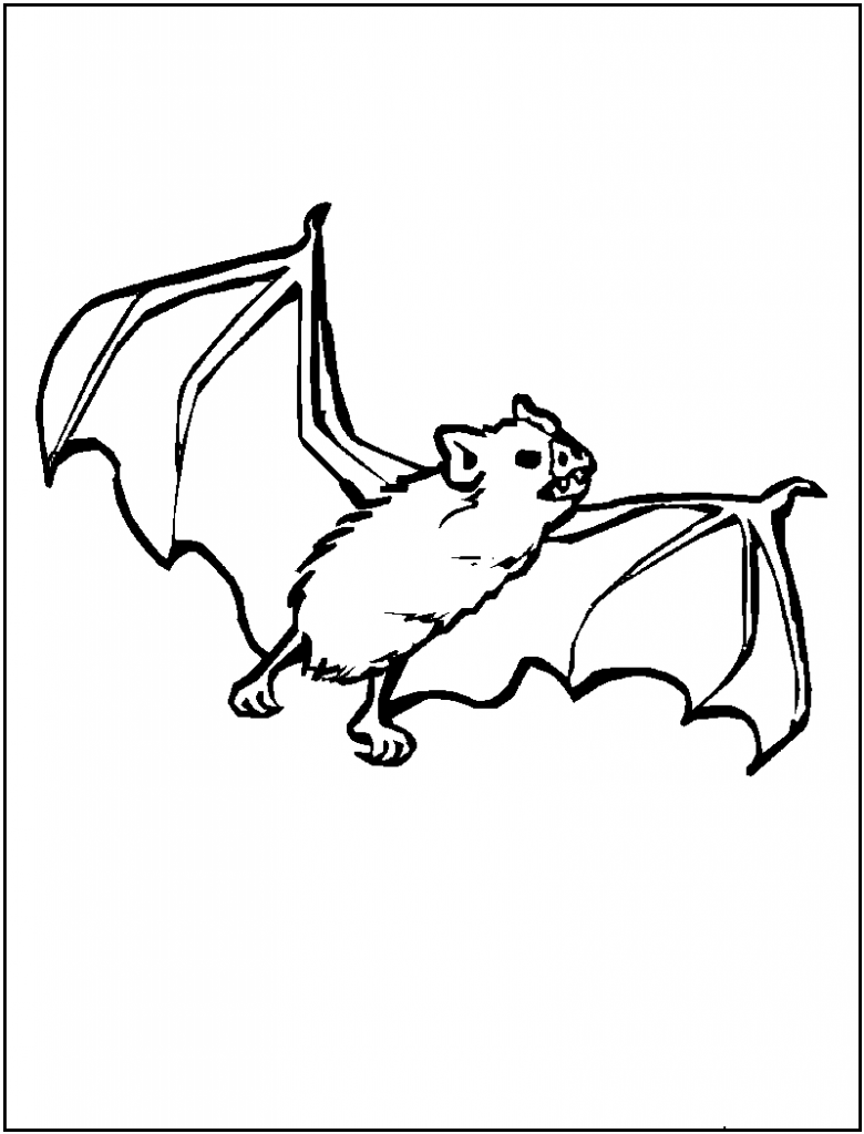 Bat Coloring Pages Images