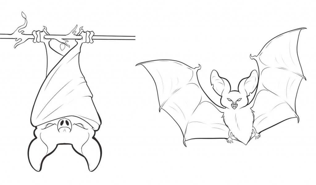 Bats Coloring Pages Printable