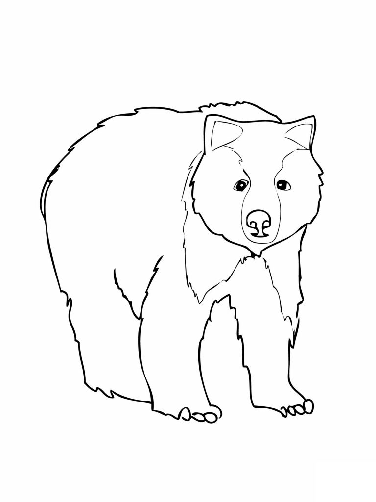 Bear Coloring Page