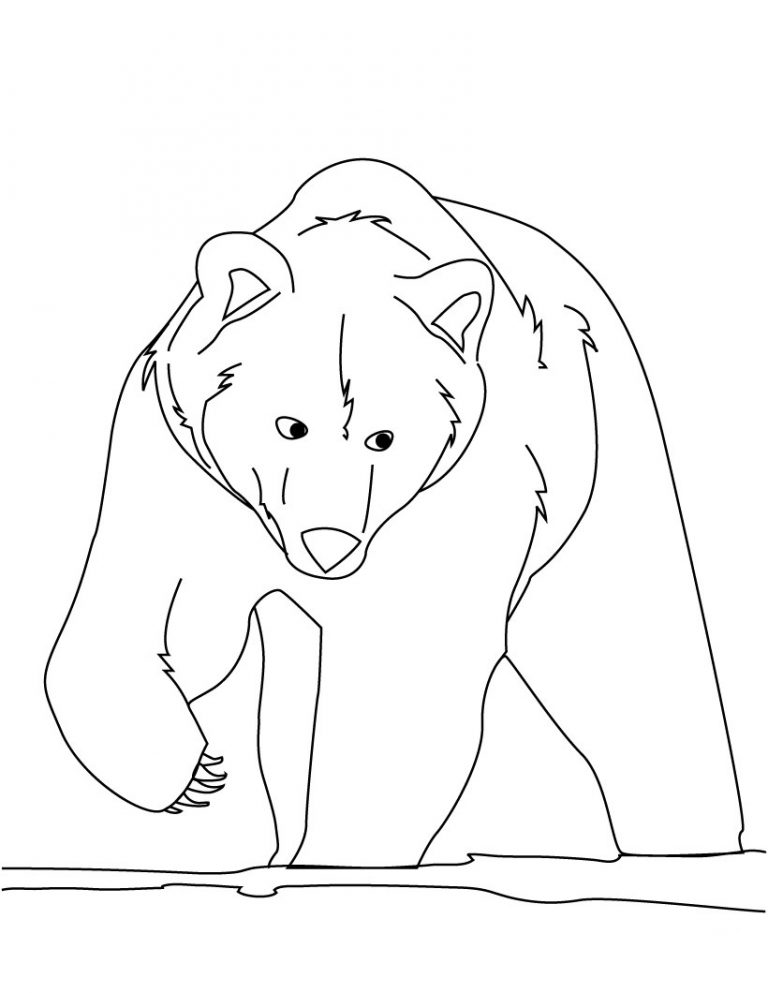 Free Printable Bear Coloring Pages For Kids