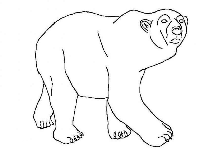 Berenstain Bears Coloring Pages