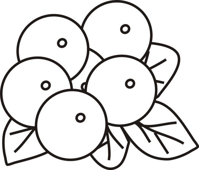Berries Coloring Page