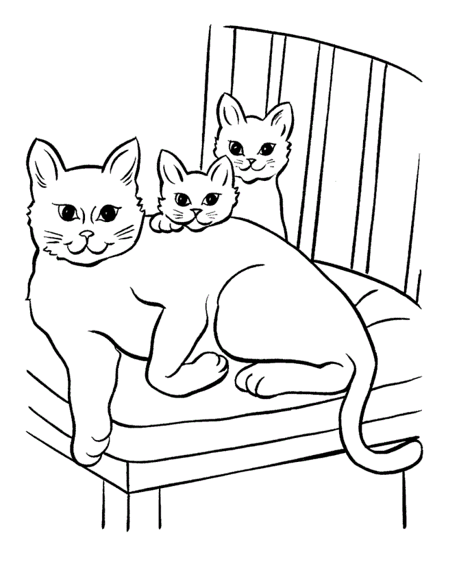 Free Printable Cat  Coloring  Pages  For Kids 