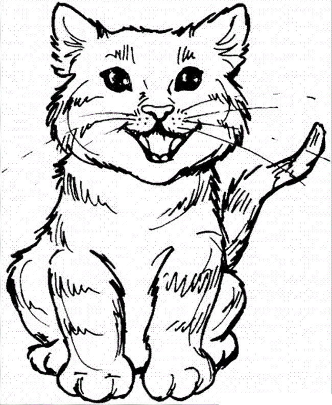 free printable cat coloring pages for kids