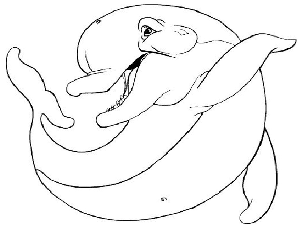 Bottlenose Dolphin Coloring Pages