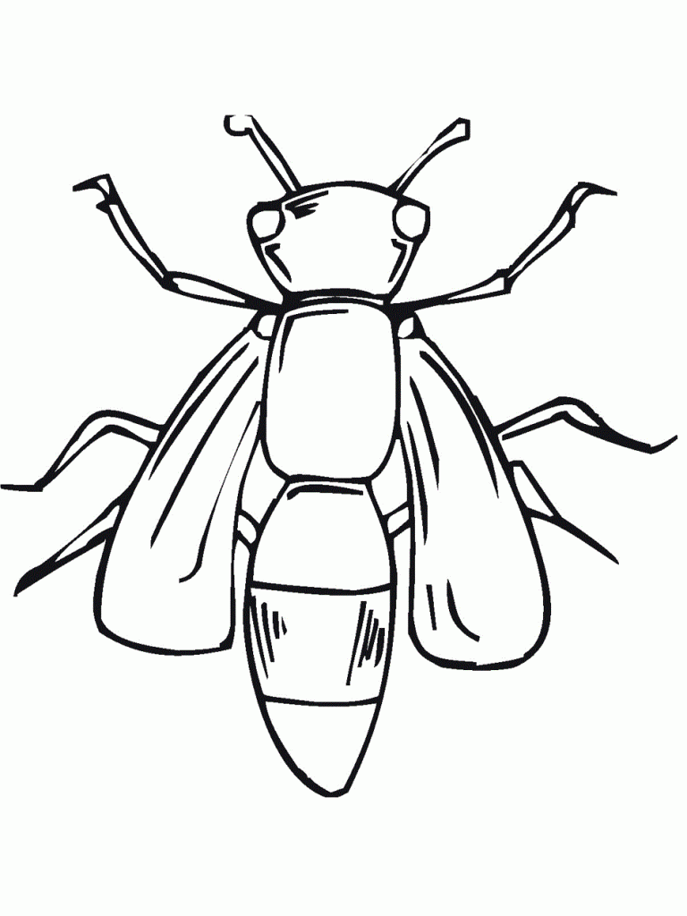 Bug Coloring Pages