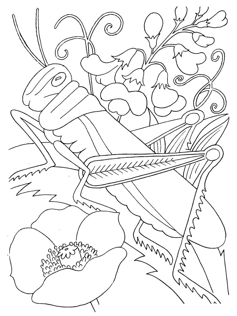 Free Printable Number Coloring Pages For Kids Bluey Coloring Pages 