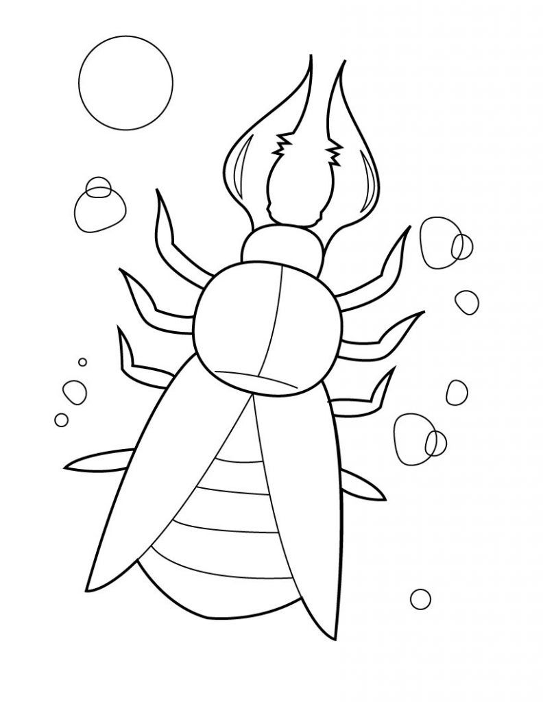 Creepy Bug Coloring Pages