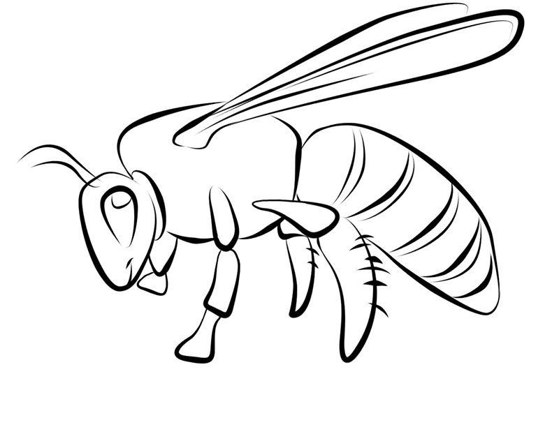 Bugs Coloring Page
