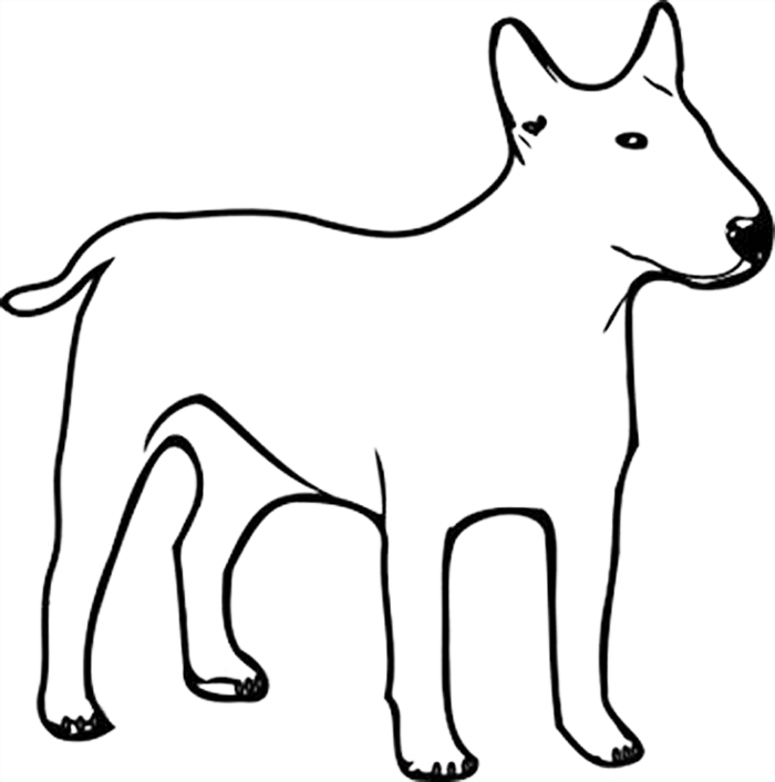 Bull Terrier Dog Coloring Page