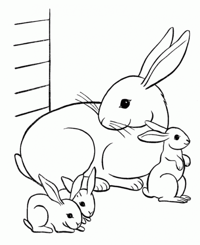Bunny Rabbit Coloring Pages Free