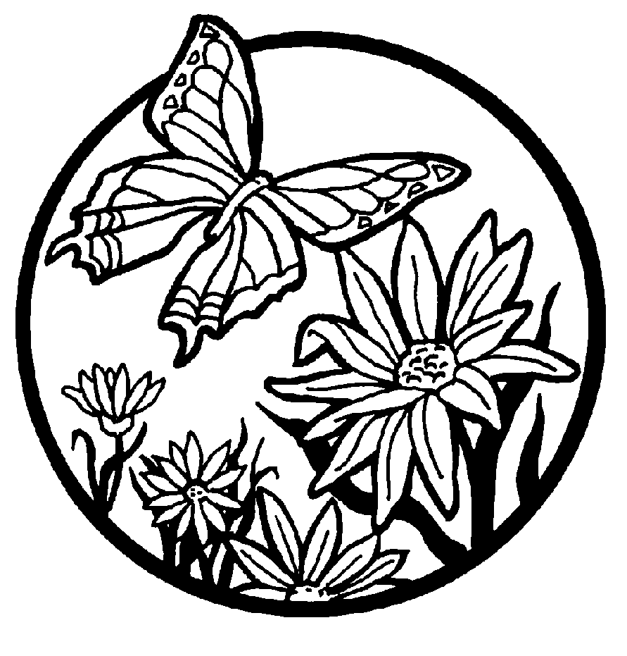 butterfly coloring pages