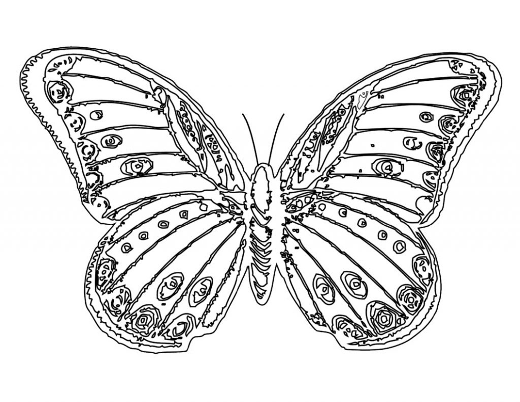 Butterfly Coloring Page For Kids