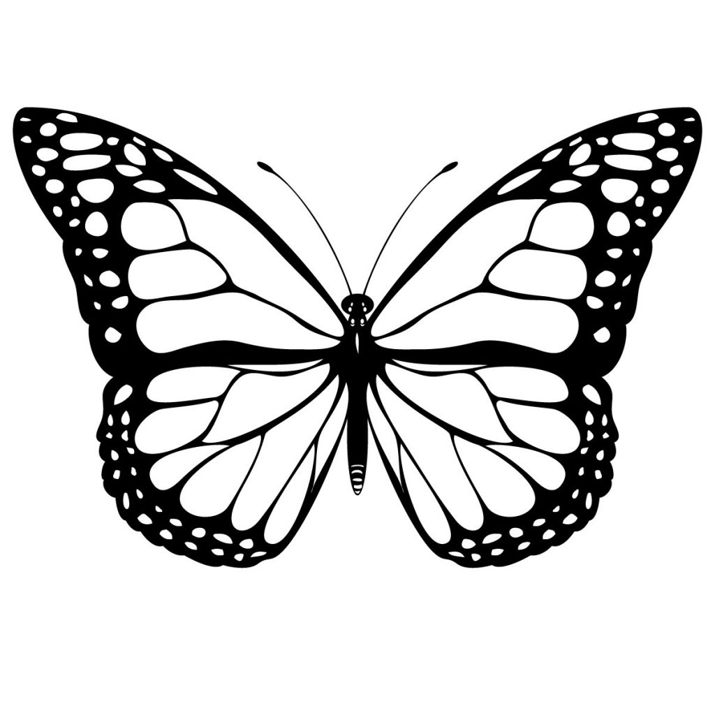 Butterfly Printable Coloring Pages