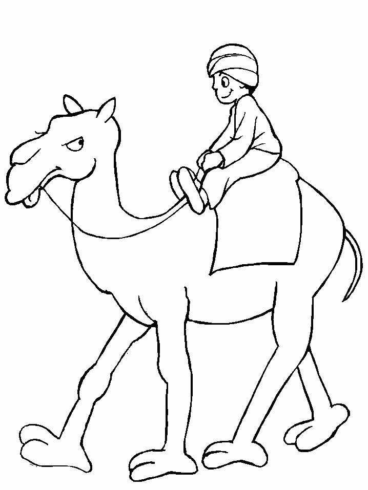 Camel Coloring Pages Print