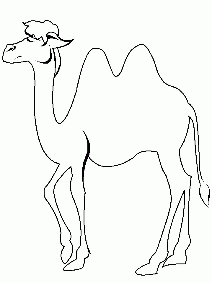 Camel Coloring Pages Printable