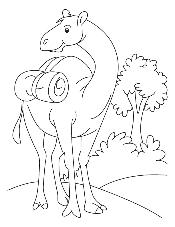 Cartoon Camel Coloring Pages
