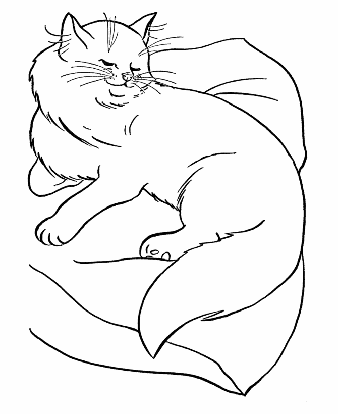 Cat Coloring Pages Printable