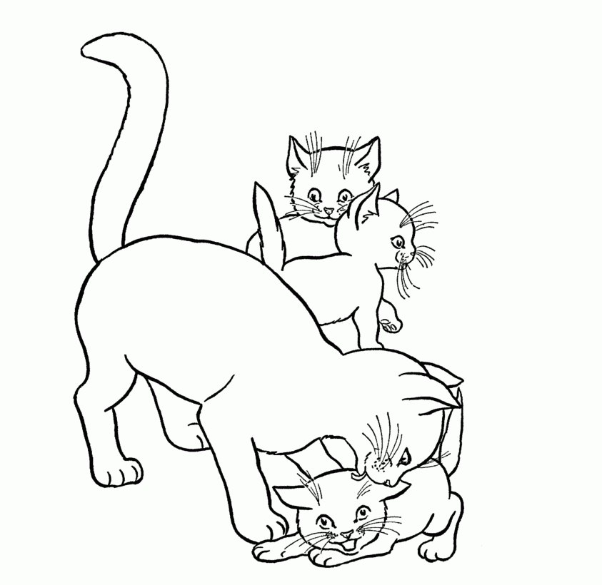 Free Printable Cat Coloring Pages For Kids