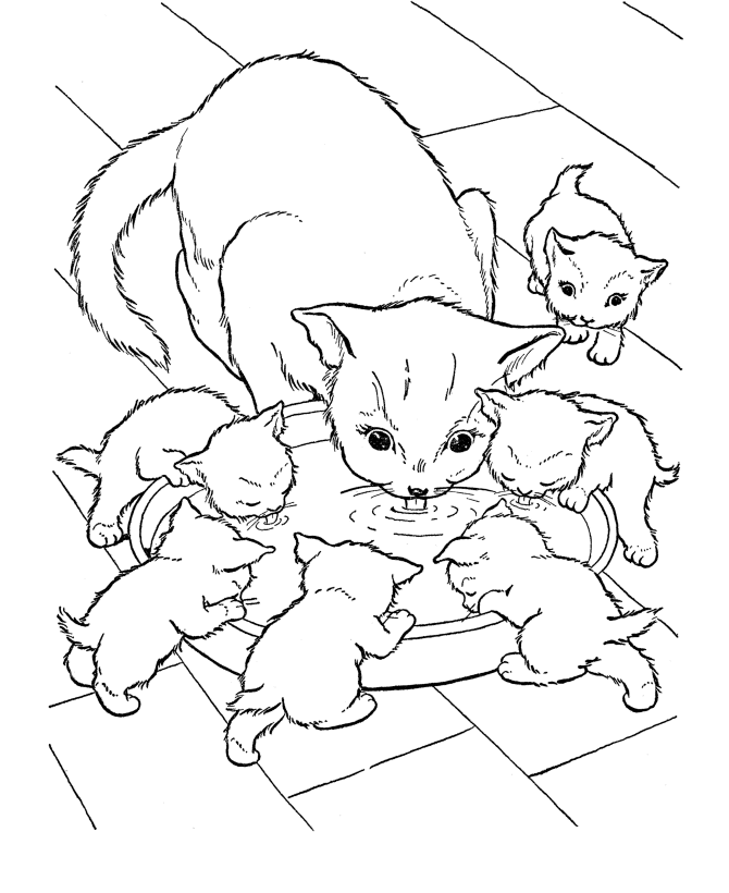 Cats Coloring Pages