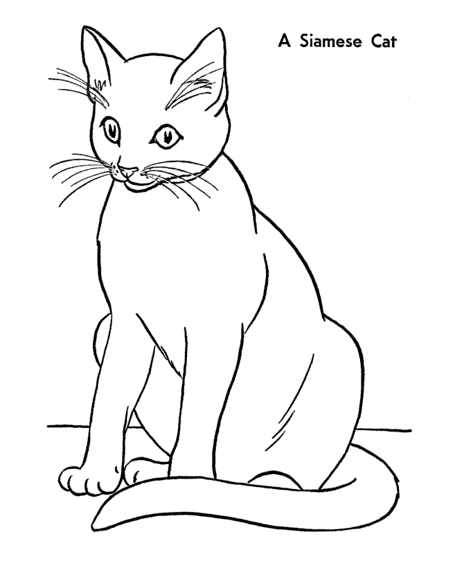 Free Printable Cat Coloring Pages For Kids