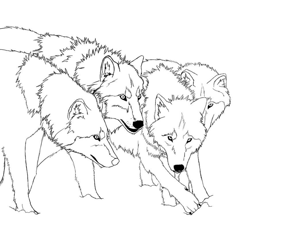 Clawd Wolf Coloring Pages