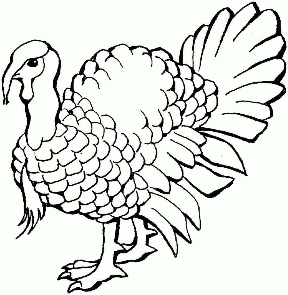 free-printable-turkey-coloring-pages-for-kids