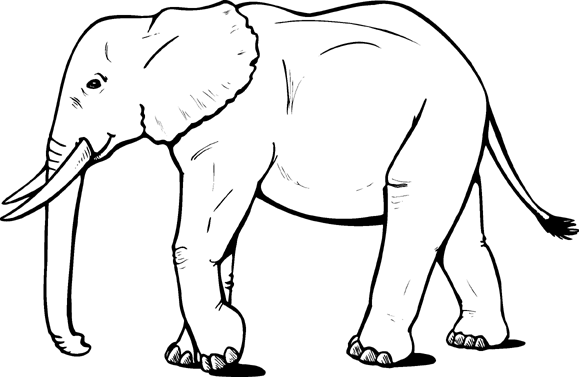 free printable elephant coloring pages for kids