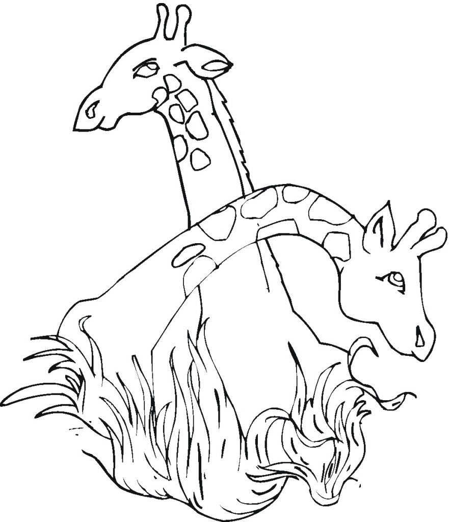 Coloring Page Giraffe