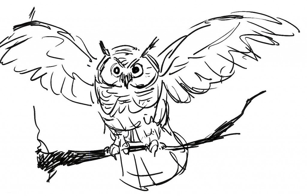 Page de coloriage du hibou