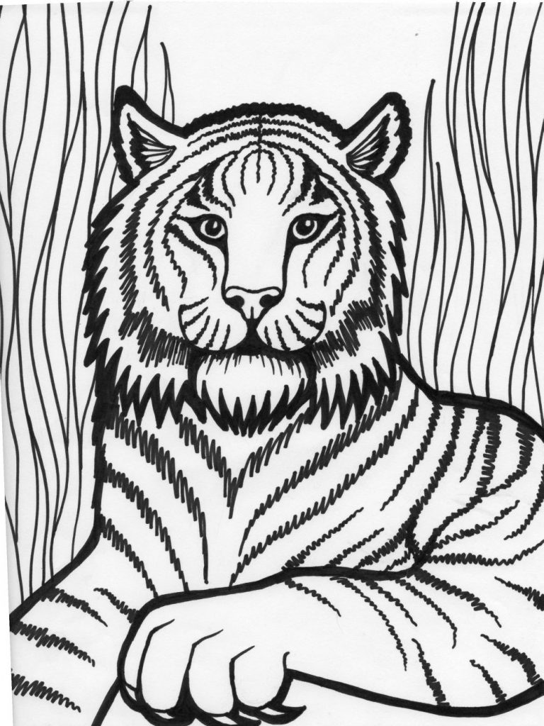 Coloring Page Tiger